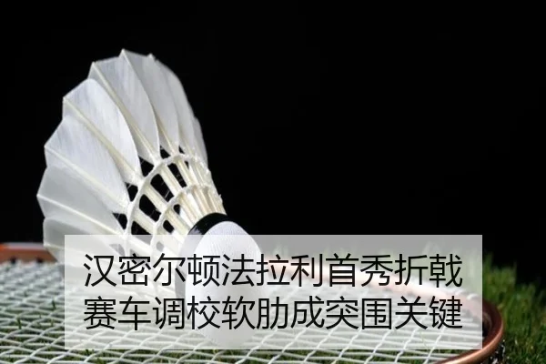 han-mi-er-dun-fa-la-li-shou-xiu-zhe-ji-sai-che-diao-xiao-ruan-lei-cheng-tu-wei-guan-jian-2-973.jpg