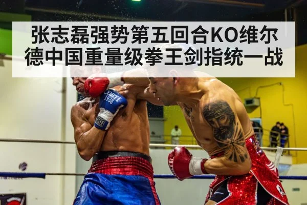 张志磊强势第五回合KO维尔德中国重量级拳王剑指统一战
