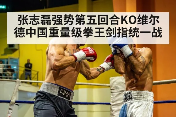 heavyweight boxing fight